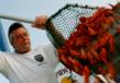 Shreveport-Bossier’s Mudbug Madness Festival Announces Details of 30th...